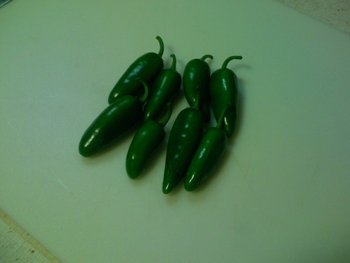 pepper_harvest.jpg